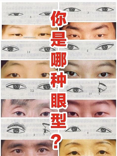 上斜眼眼型|面相好不好？一半看眼睛！最全眼型圖解